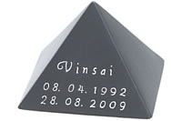 gs-05-0,8-Vinsai