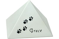 gs-0,8-01-Pfote04-Grace