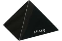 gs-15L-23-micky2.jpg